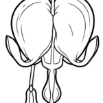 coloriage Cœur de Marie pour enfants à télécharger