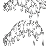 coloriage Cœur de Marie a dessiner et imprimer
