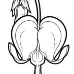 coloriage Cœur de Marie educatif pour enfant