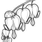 coloriage Cœur de Marie educatif pour enfant