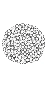 coloriage Hortensia d