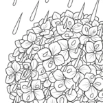 coloriage Hortensia pour enfant de 2 ans
