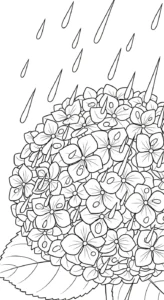 coloriage Hortensia pour enfant de 2 ans