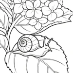 coloriage Hortensia pour primaire