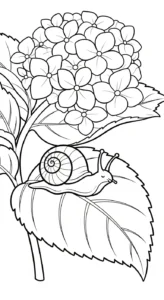 coloriage Hortensia pour primaire