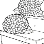 coloriage Hortensia à imprimer pour enfant de 3 ans