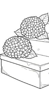 coloriage Hortensia à imprimer pour enfant de 3 ans