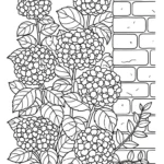 coloriage Hortensia gratuit