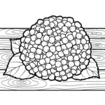 coloriage Hortensia pour enfant a imprimer gratuit