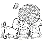 coloriage Hortensia pour enfant de 8 ans
