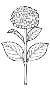 coloriage Hortensia à imprimer pdf gratuit