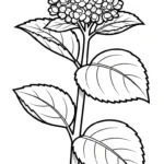 coloriage Hortensia a imprimer pour enfant de 4 ans