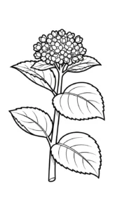 coloriage Hortensia a imprimer pour enfant de 4 ans