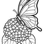 coloriage Hortensia à imprimer pour enfant de 6 ans