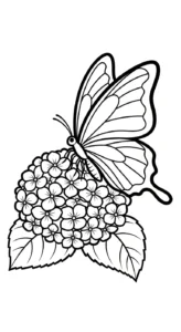 coloriage Hortensia à imprimer pour enfant de 6 ans