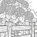 coloriage Hortensia gratuit a imprimer