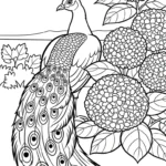 coloriage Hortensia à imprimer pour enfant de 9 ans