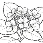 coloriage Hortensia à imprimer pour enfant de 9 ans