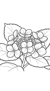 coloriage Hortensia à imprimer pour enfant de 9 ans