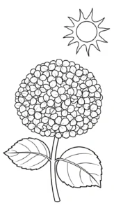 imprimer coloriage Hortensia