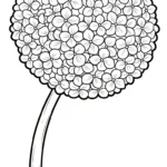 coloriage Hortensia pour enfants a imprimer