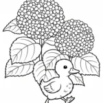 coloriage Hortensia a telecharger