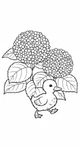 coloriage Hortensia a telecharger