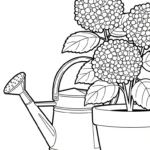 coloriage Hortensia pour enfant de 6 ans