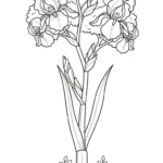 coloriage Iris à imprimer a4