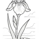 coloriage Iris pour enfant de à imprimer