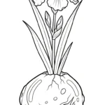 coloriage Iris pour enfant de 8 ans