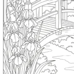 coloriage Iris pour primaire