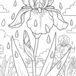 coloriage Iris a imprimer gratuitement