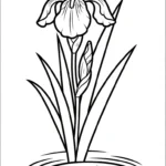 coloriage Iris pour enfant à imprimer