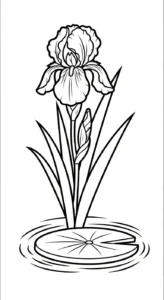 coloriage Iris pour enfant à imprimer