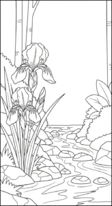coloriage Iris et dessin a imprimer