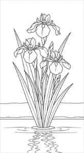 coloriage Iris a telecharger