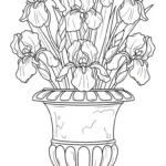 coloriage Iris a telecharger