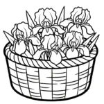 coloriage Iris et découpage à imprimer