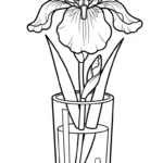 coloriage Iris de pour enfants