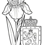 coloriage Iris a imprimer pour enfant de 4 ans