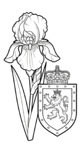 coloriage Iris a imprimer pour enfant de 4 ans