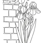 coloriage Iris à imprimer pour enfant de 9 ans