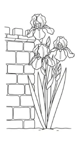 coloriage Iris à imprimer pour enfant de 9 ans