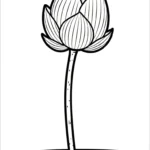 coloriage Lotus et decoupage