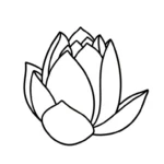 coloriage Lotus et dessin a imprimer