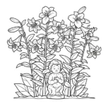 Lys