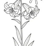 coloriage Lys en ligne