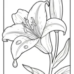 coloriage Lys pour primaire