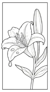 coloriage Lys pour primaire
